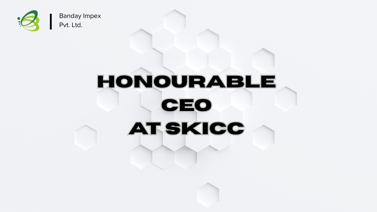 Honourable CEO at SKICC